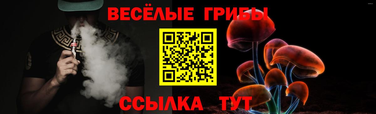 Галлюциногенные грибы MAGIC MUSHROOMS  Вход с VPN  Галлюциногенные грибы Psilocybe  Добрянка 